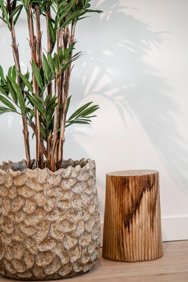Yucca Beachhouse Zandvoort Eksteriør billede