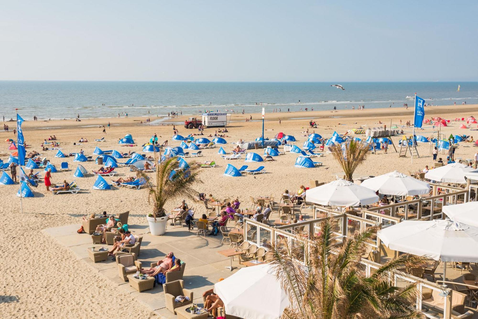 Yucca Beachhouse Zandvoort Eksteriør billede